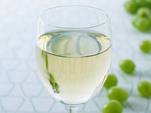 连接池